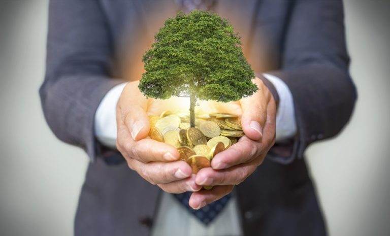 A businessman holding a handful of coins with a tree growing on it